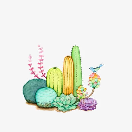 花草多肉日记 v1.0