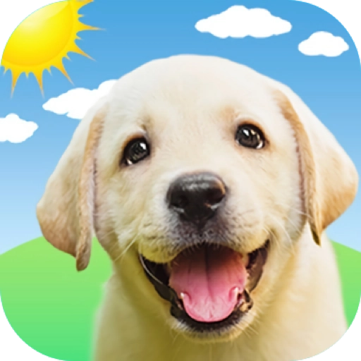 狗狗语翻译器 v1.3.6