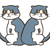 猫的错误 v1.1.2