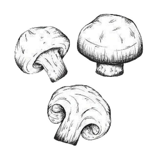 蘑菇识别高手 v1.1