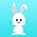 变形家壁纸手机版  v1.0.4