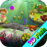 我的3D水族馆