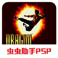 龙的传人正版