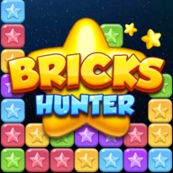 Bricks Hunter v1.0.4