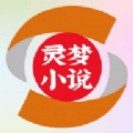 灵梦小说 v1.7