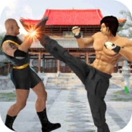 功夫冠军格斗 v3.27