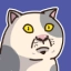 猫力给破解版