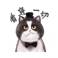 肥猫影视正版  v3.0