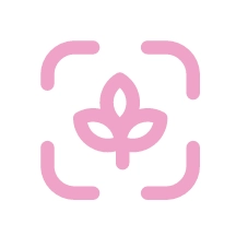 壁纸大全与制作软件  v1.1