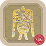 每日一宝 v3.1.2