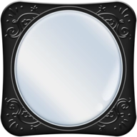 Mirror手机版 v13