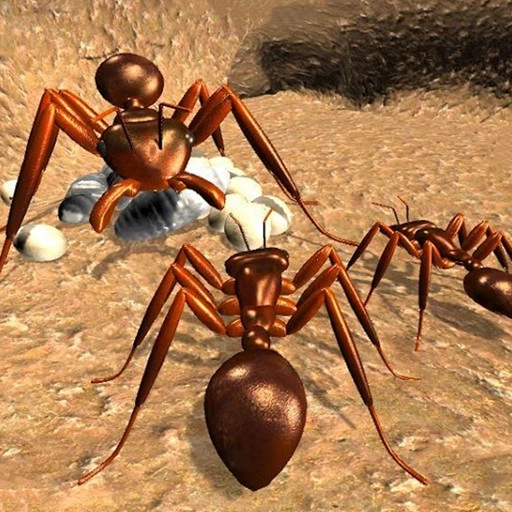荒野蚂蚁模拟