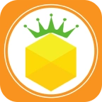 金菠萝 v1.1.1
