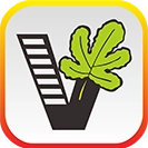 我要自学网 v1.11.2