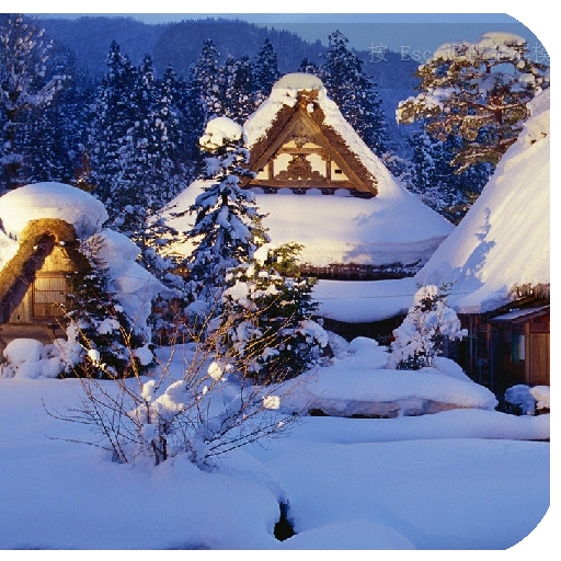 日语助手