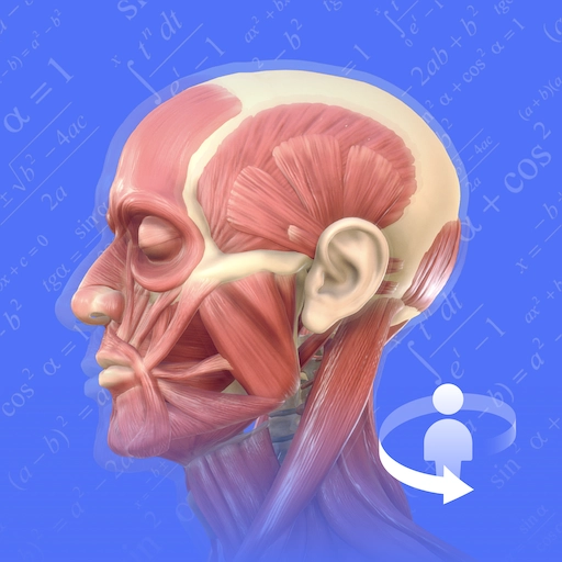 人体3D解剖图谱 v2.4.2