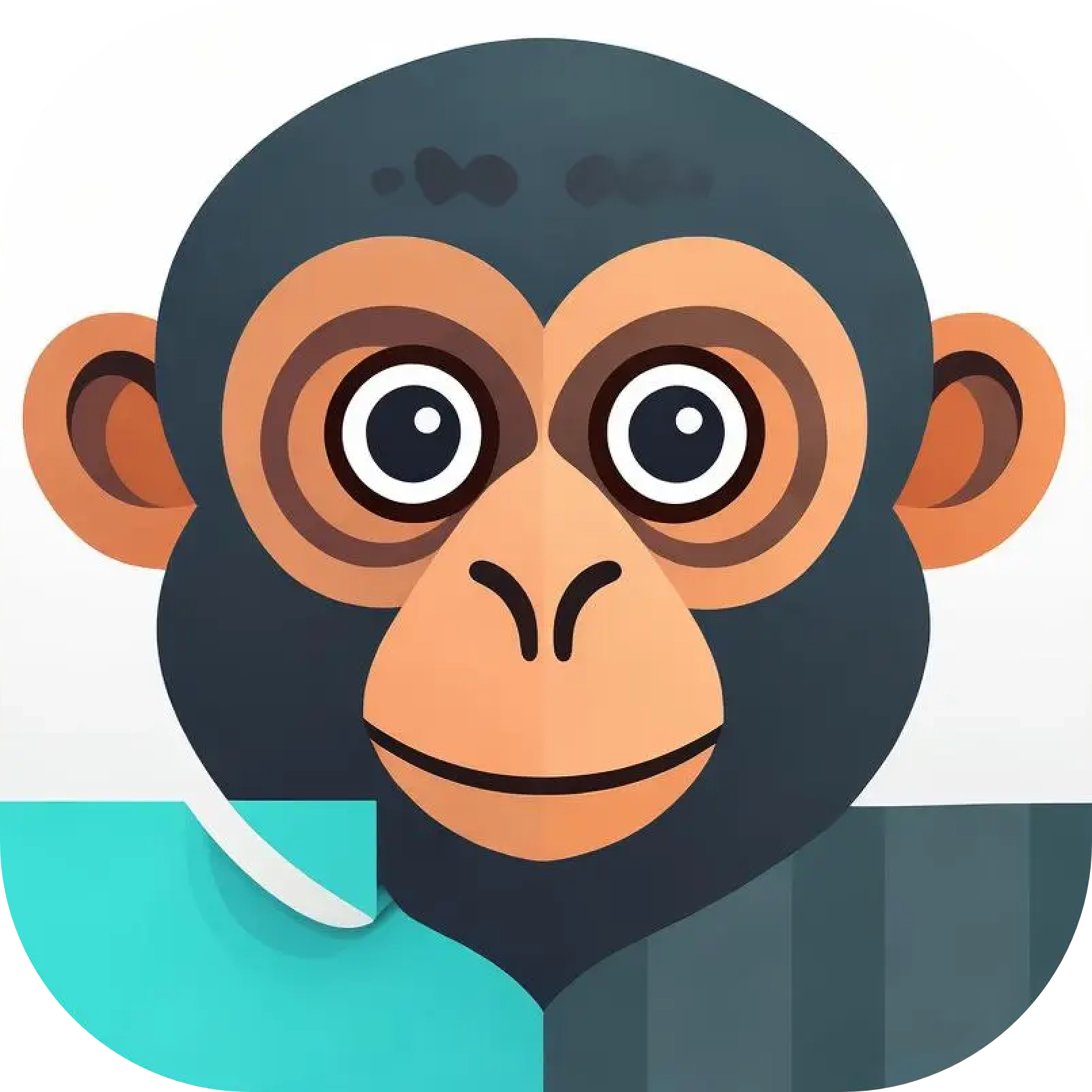 吗喽会议 v1.1