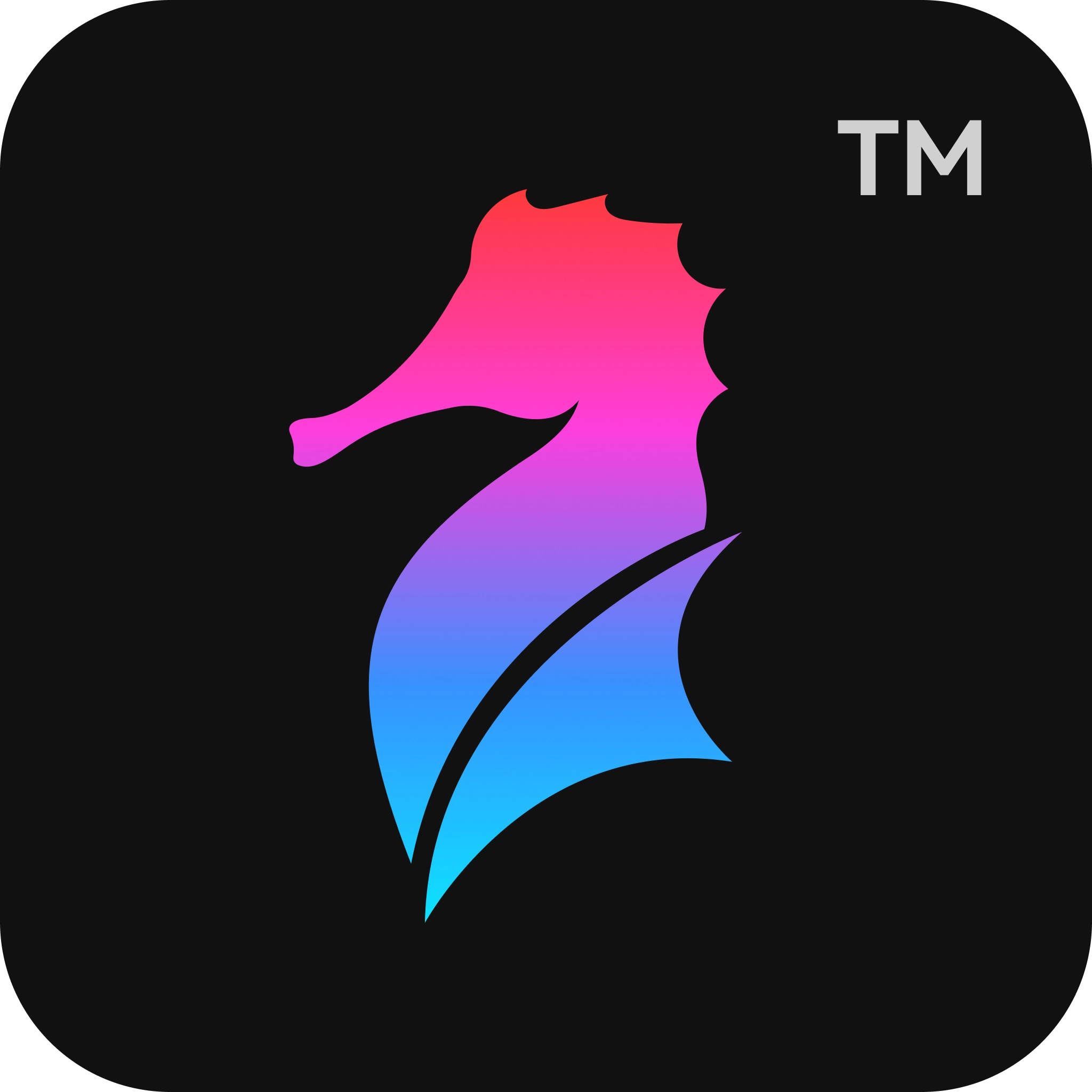 海马证件照 v3.1.2