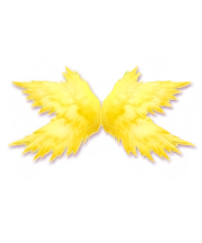 装扮达人 v1.1.0