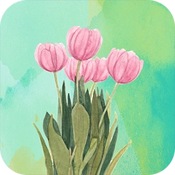高清氧气壁纸  v1.1