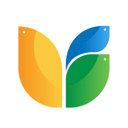 三只鸟云课堂 v4.3.9