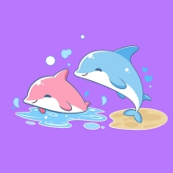 海豚圈圈  v3.4.0