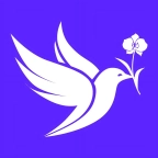 布谷网手机版