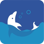 海豚学院 v1.1.0