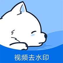 视频去水印专家 v7.0