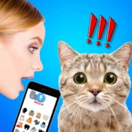 猫狗语言翻译器 v1.6