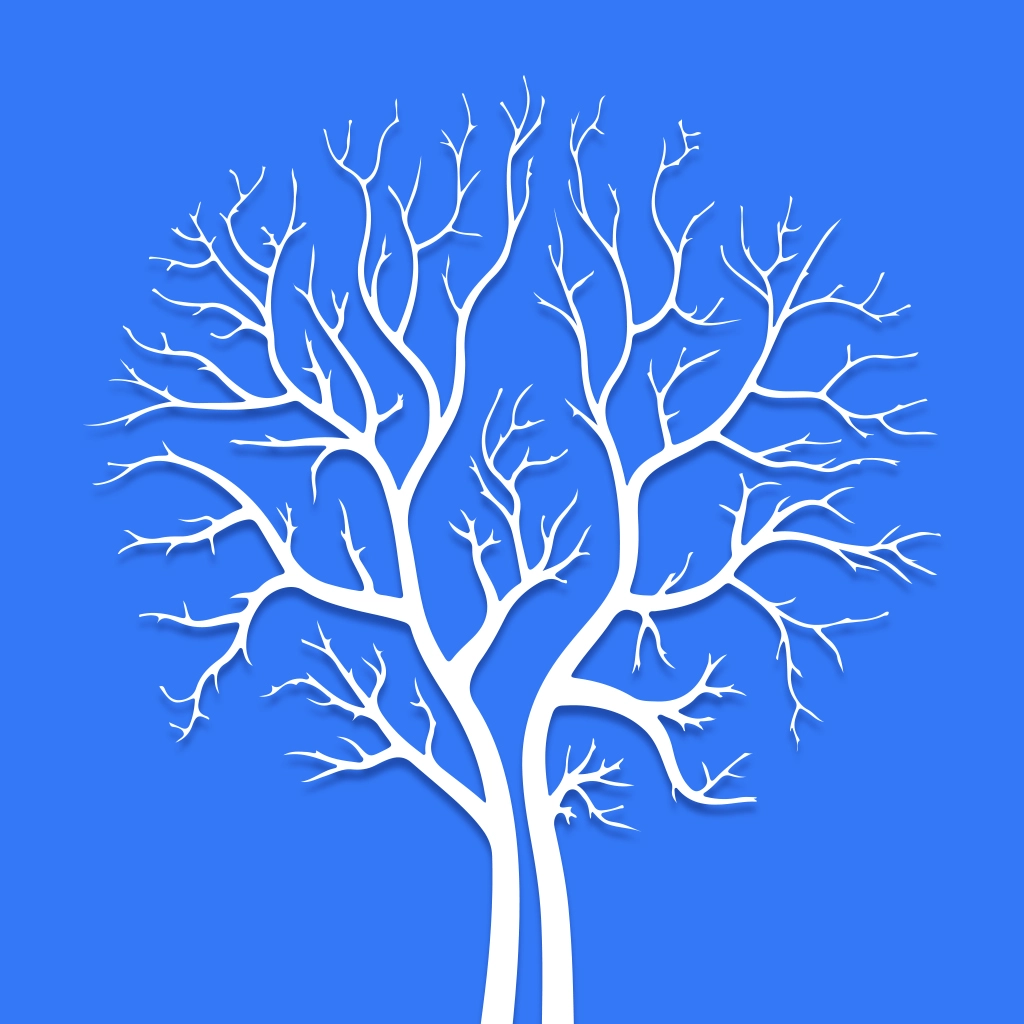 赛学课堂 v1.1.0
