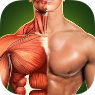 人体解剖3d v1.1