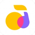 回森app最新版