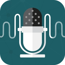 王者万能变声器 v1.0