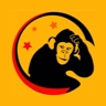 类人猿科技咨询 v1.0