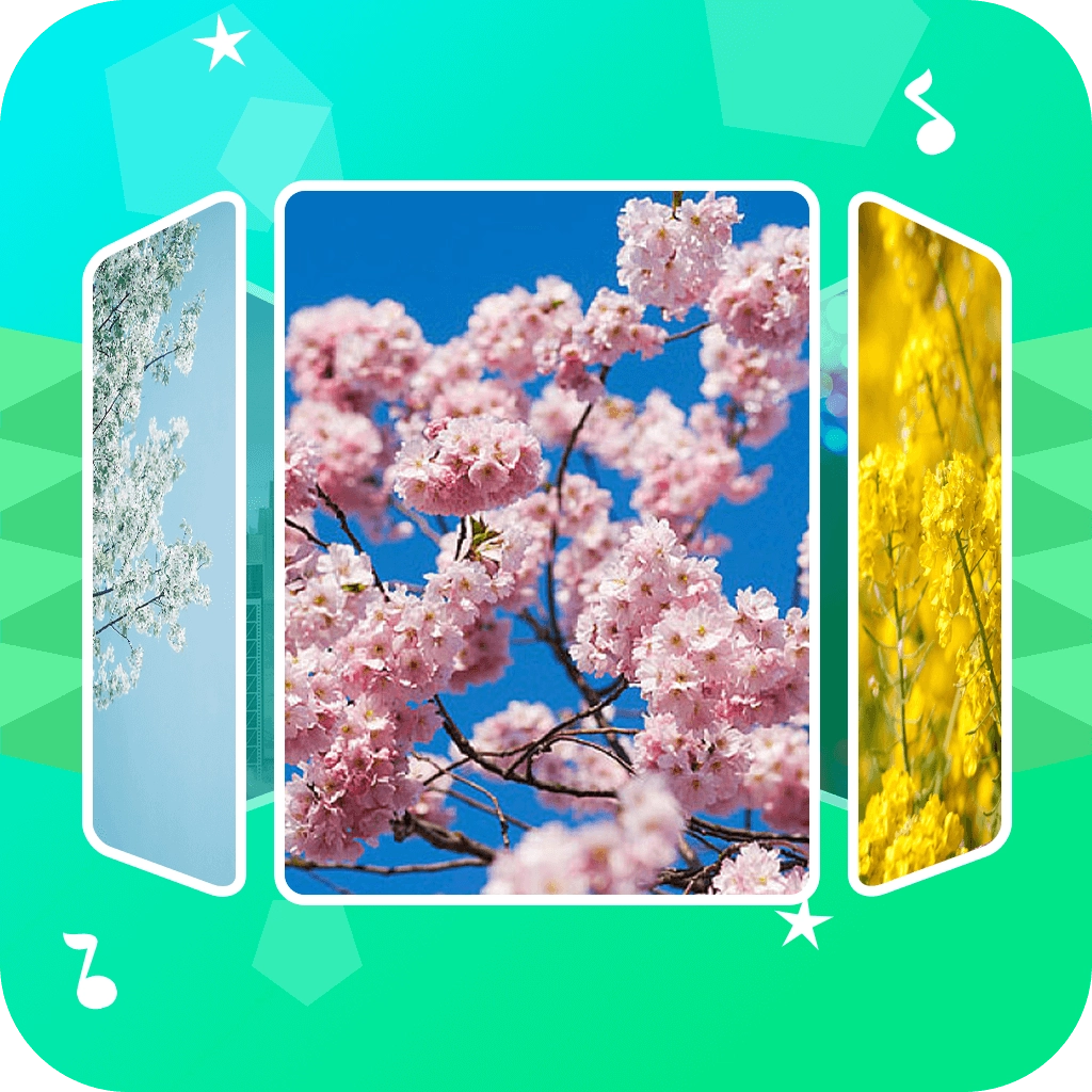 音乐相册助手