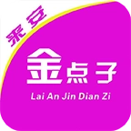 来安金点子