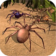 消灭蜘蛛 v1.2