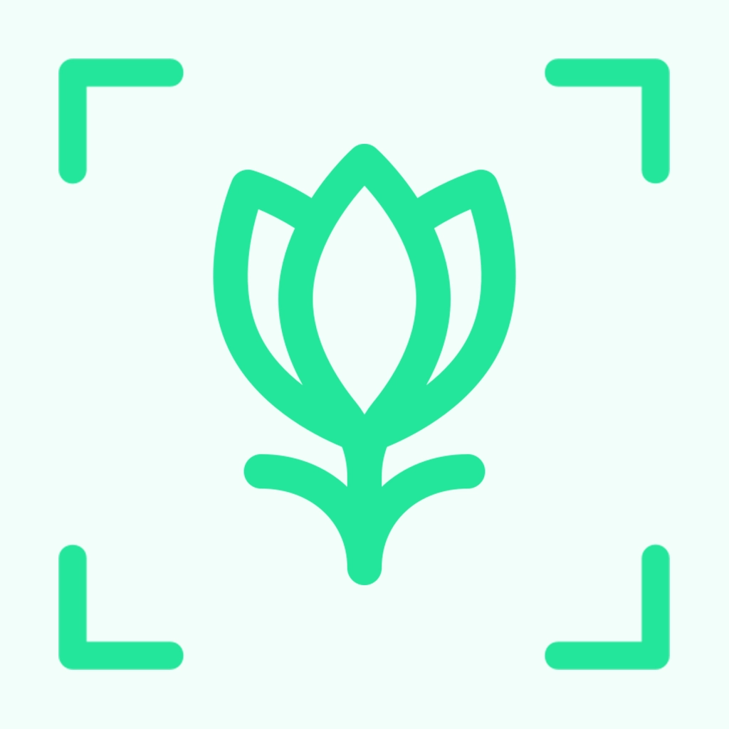 万物识别 v6.0.3