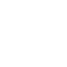 迅雷浏览器  v2.11.0.9663