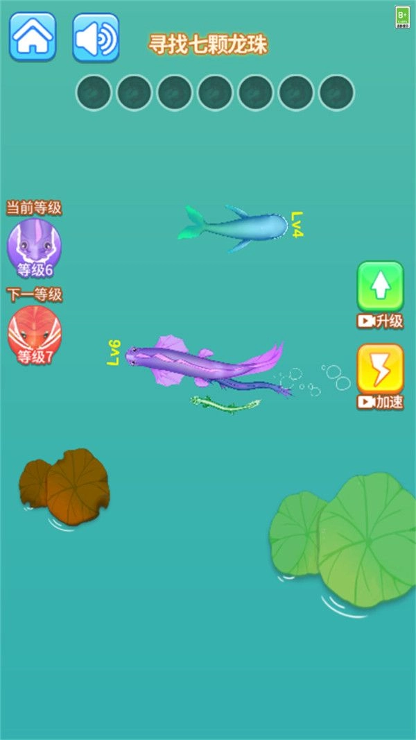 超级神龙进化游戏最新版(3)