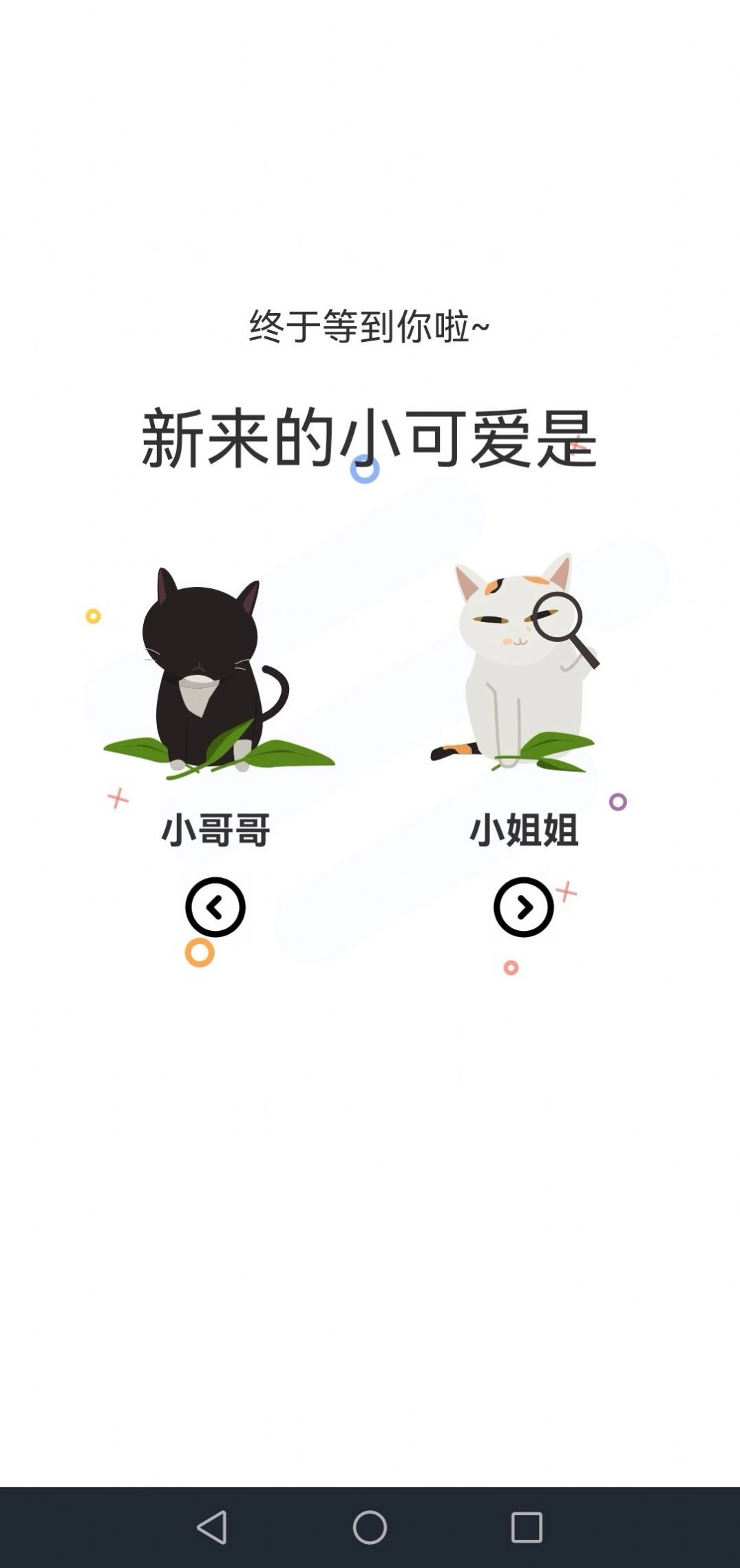 喵上动漫正版(2)