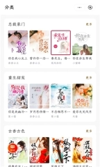 厚墨小说软件(1)