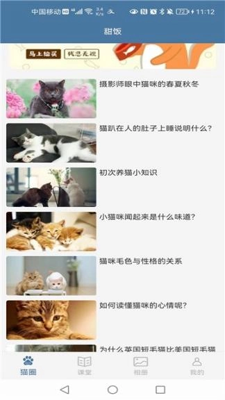 甜饭养猫助手(2)
