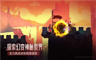 死亡细胞免付费完整版(2)