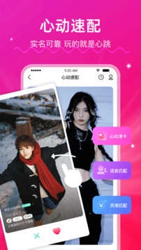 LesPark旧版(4)
