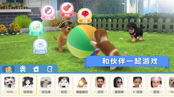 梦幻小狗官方正版图2
