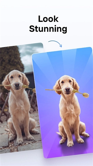 photoroom安卓手机版5.5.3版本图2