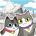 猫猫的旅行