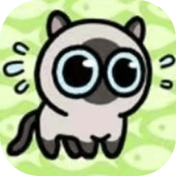 冒险猫小